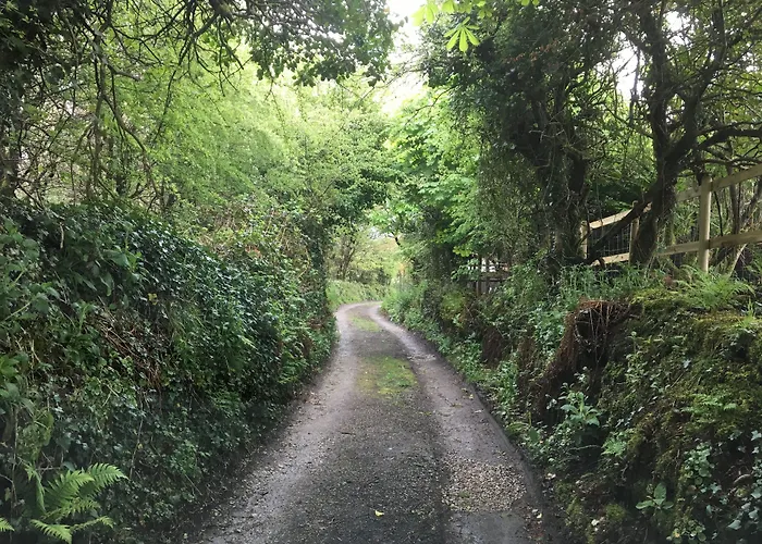 Higher Trenear Farm B&B Helston